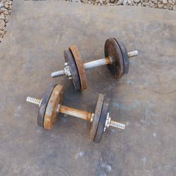 Dumbbells 2x16lbs