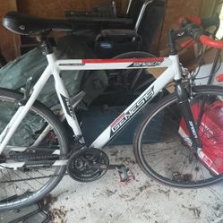 I Have The Bicycles That You Ride On The Side Of The Road The Ones Aluminum All The Way And You Got The Red One 400 For Both $300 For The Aluminum One