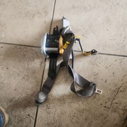 Seat Belt Driver Honda Insight 