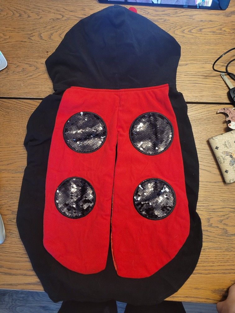 Dog Ladybug Costume