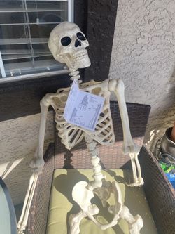 Pose And Stay Skeleton 60 Inches Tall