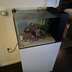 Waterbox Aquarium