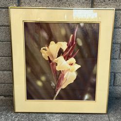 Vintage Gladiolus Flowers Poster Framed 26" x 23"