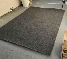 Area Rug $25 OBO