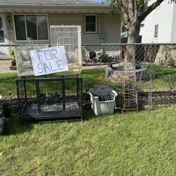 Bird Cages 