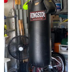 Ringside Punching bag