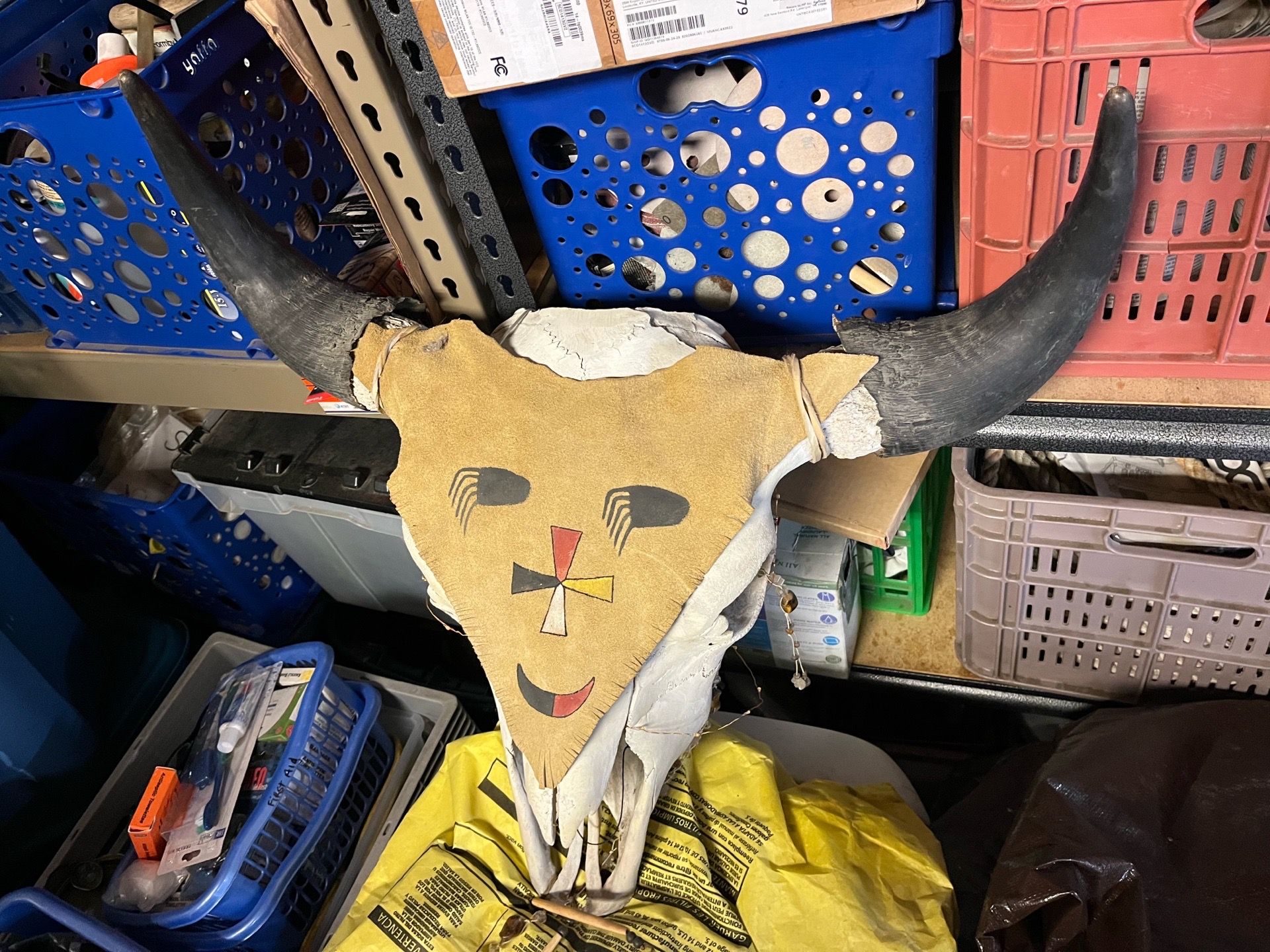 Buffalo skull
