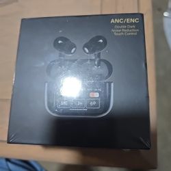 Earbuds