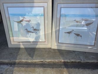 Sandpiper wall art