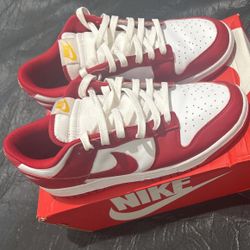 Nike DUNK LOW RETRO Sz11