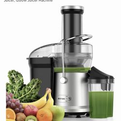 NEW 1200W Juicer Machine