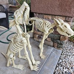 2 Halloween  Skeleton Dongs New In Box