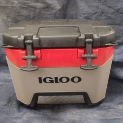 Igloo Cooler. 
