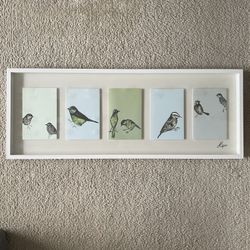 Discontinued IKEA OLUNDA "Birds" Framed Shadowbox Wall Art by Jenny Capon