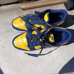 Michigan Dunks SZ 10