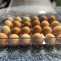 EGGS