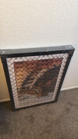19x27 picture frame (2-3 frames)