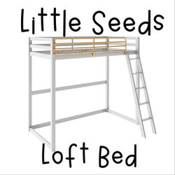 Little Seeds Twin Loft Bed in Gray