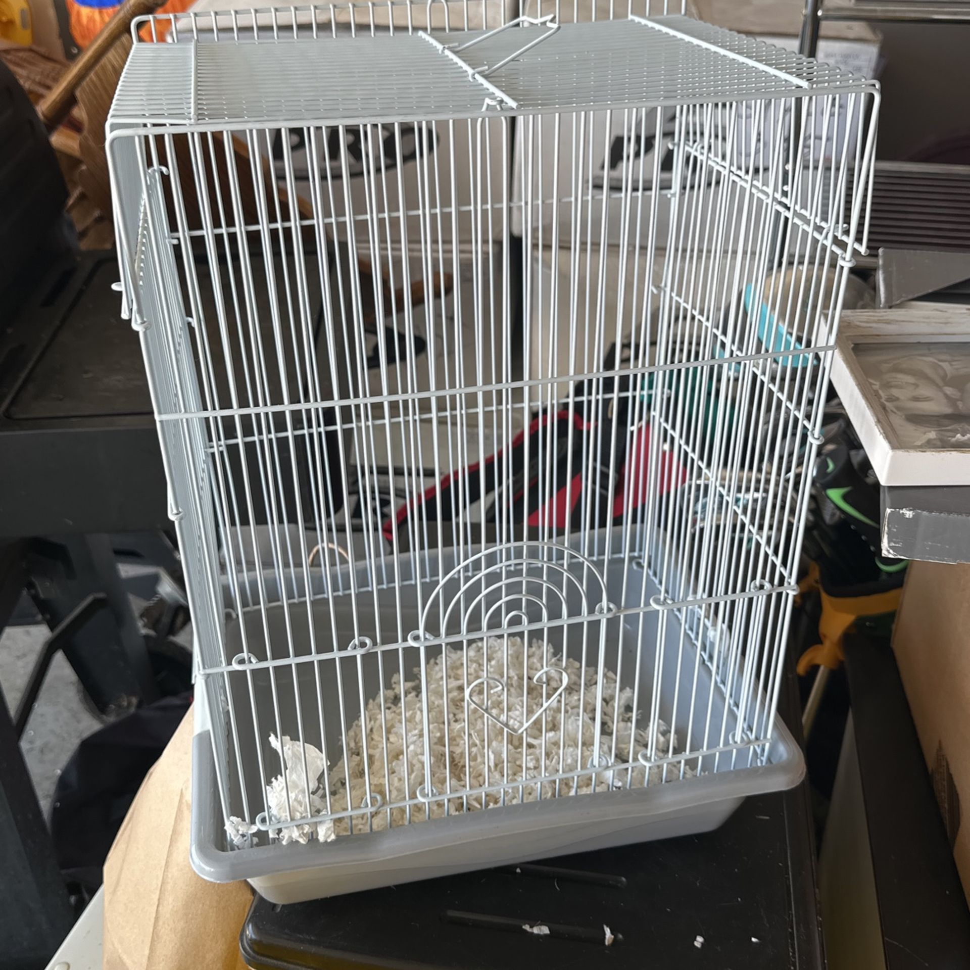 Bird Cage