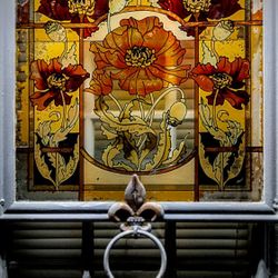 Stained Glass