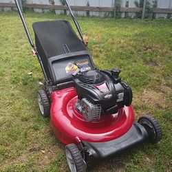 Push Lawnmower Briggs And Stratton 21in 