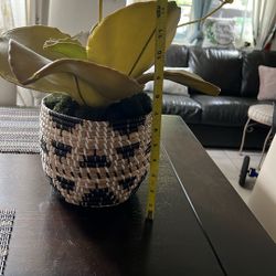 Fake Succulent Plant In Basket