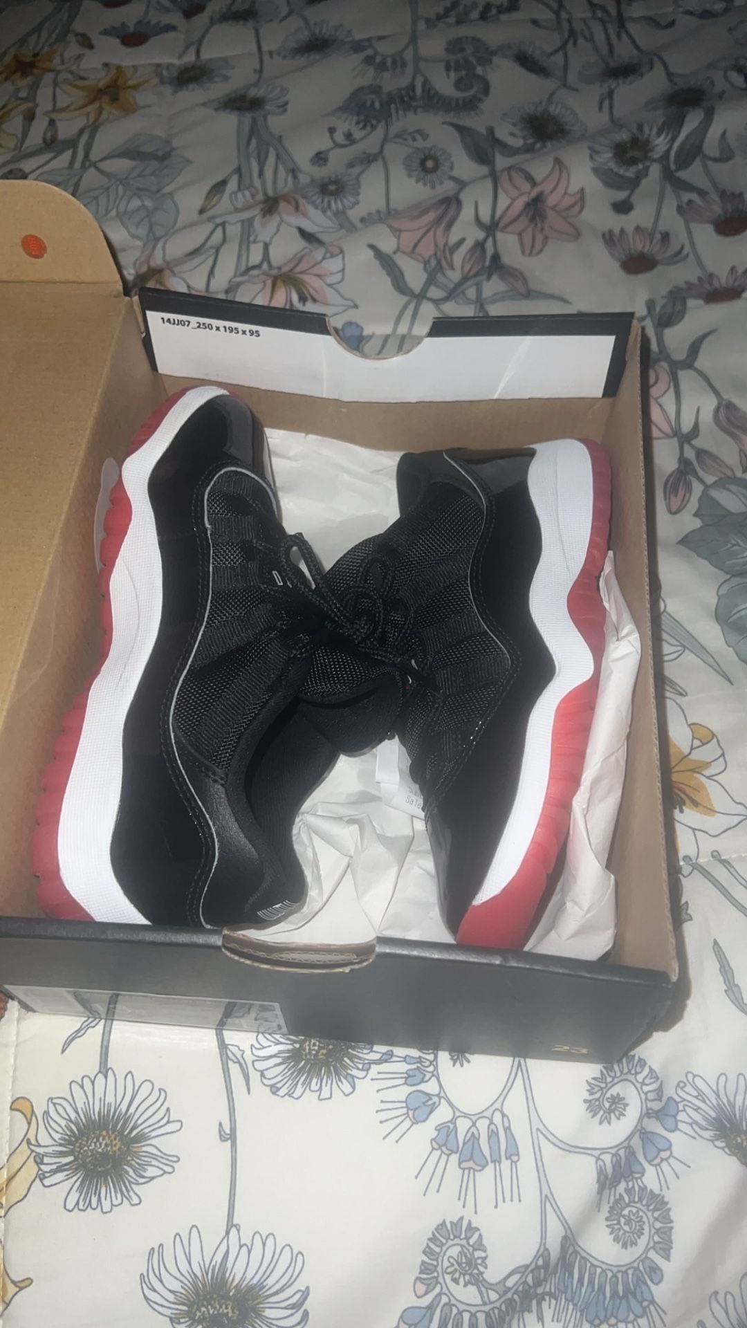 Jordan 11 Low Retros