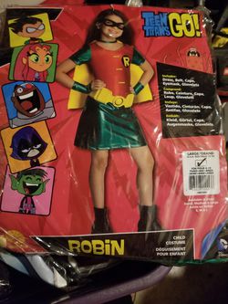 Girl Robin costume