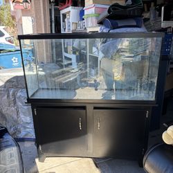 Fish Tank With Stand 