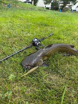 24 Shimano Metanium DC 71HG
