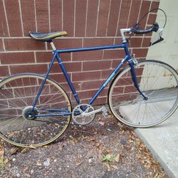 Large Frame Electric Blue Lightweight Schwinn Singlespeed w/ new tires