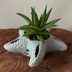 Artificial Succulent Starfish Planter Arrangement Decor