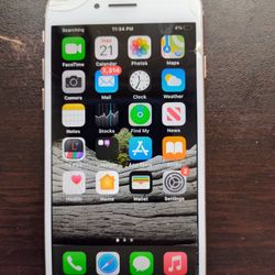Apple iPhone (8) Carrier Unlocked.! Needs Fix!