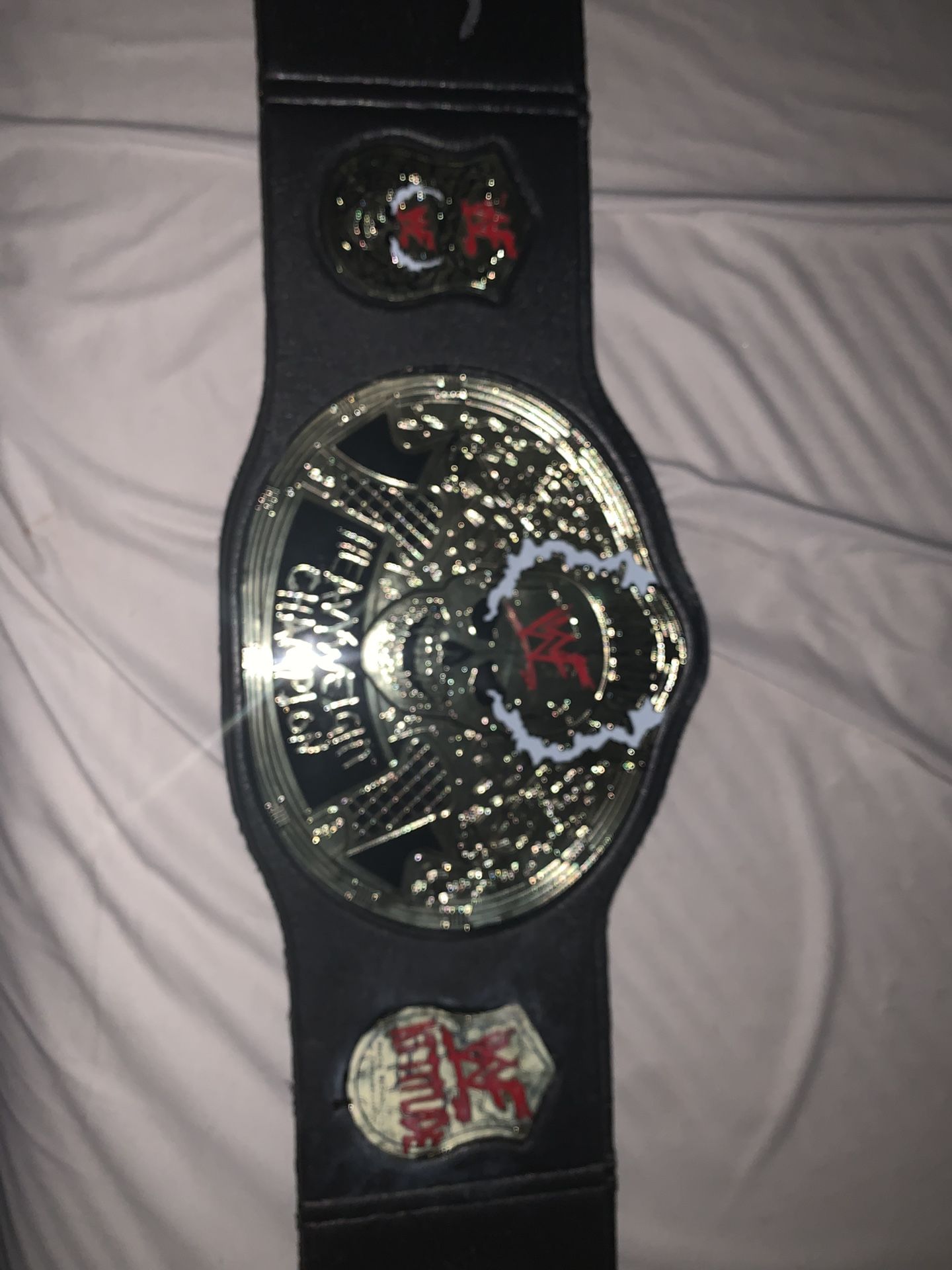 Stone Cold Steve Austin Belt Signed