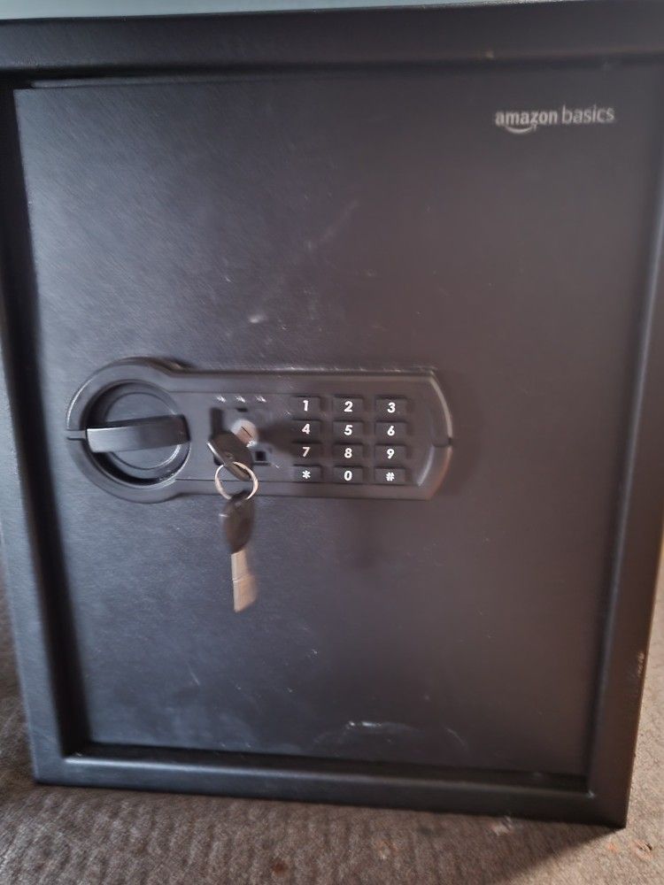 Amazon Basic Fireproof Safe