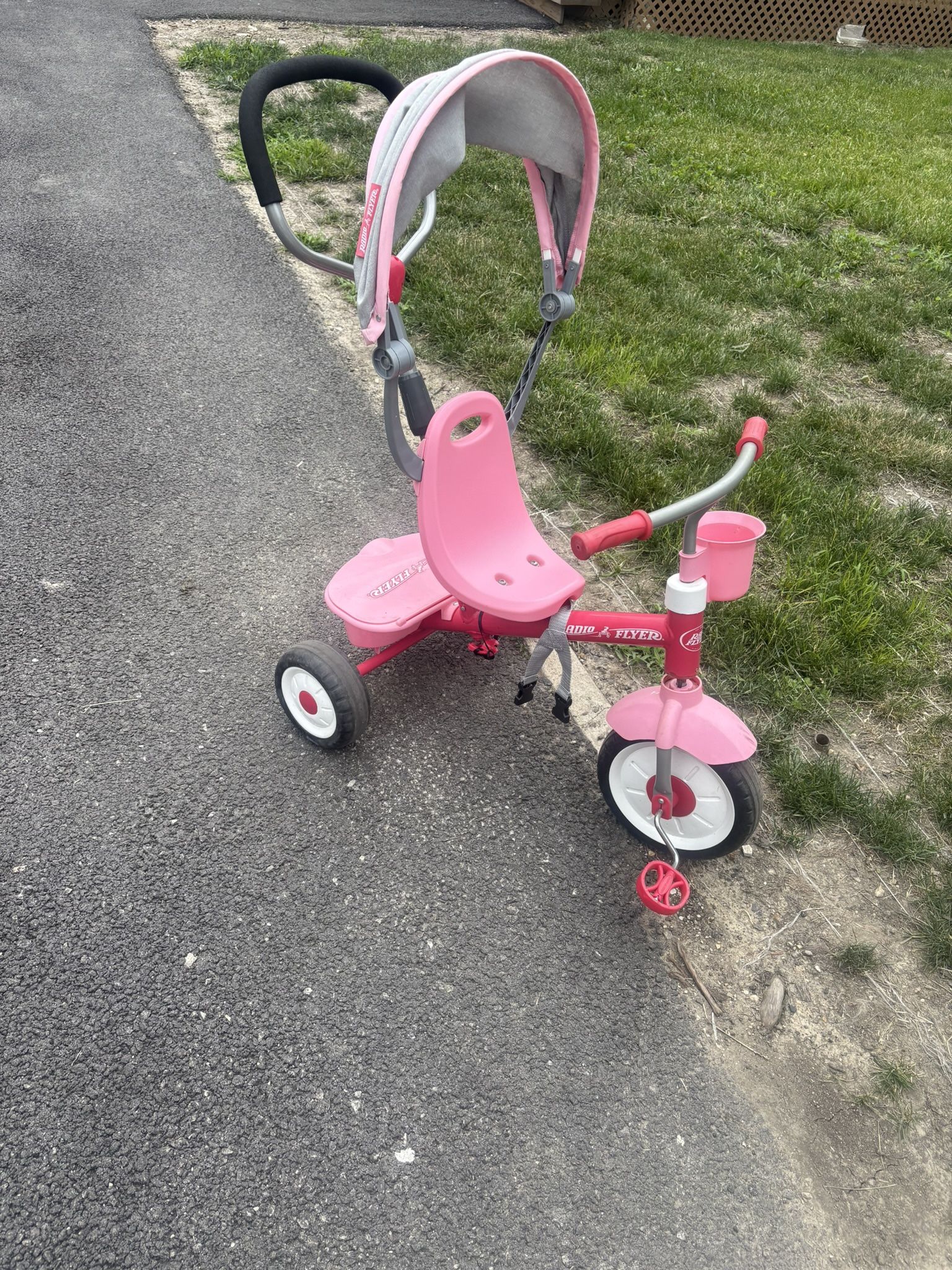 Toddler Bike 