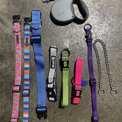 Dog Collars & Extend Leash 