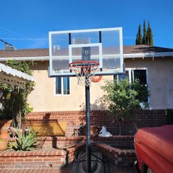 Basketbal Lifetime Shatter Proff 