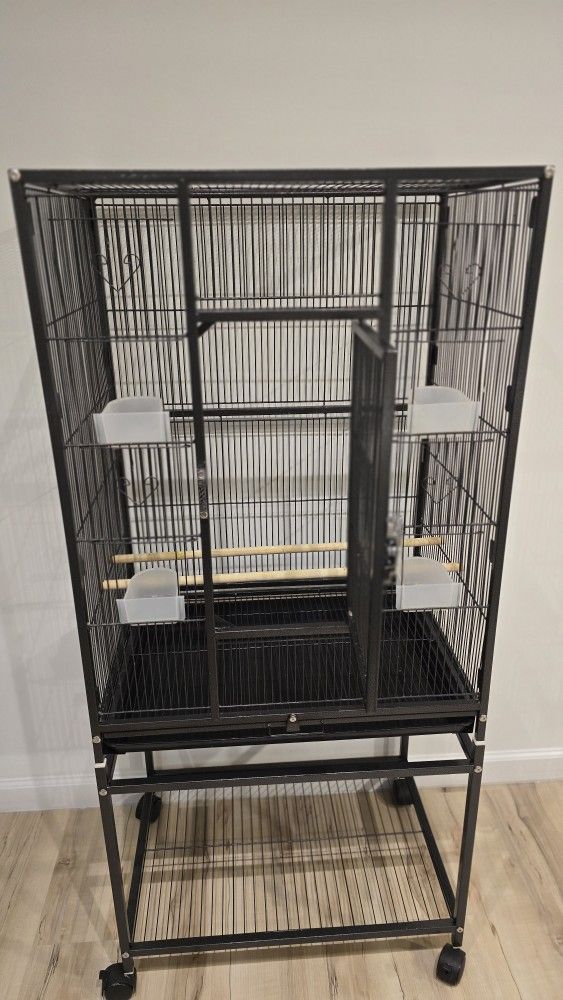 Bird Cage 