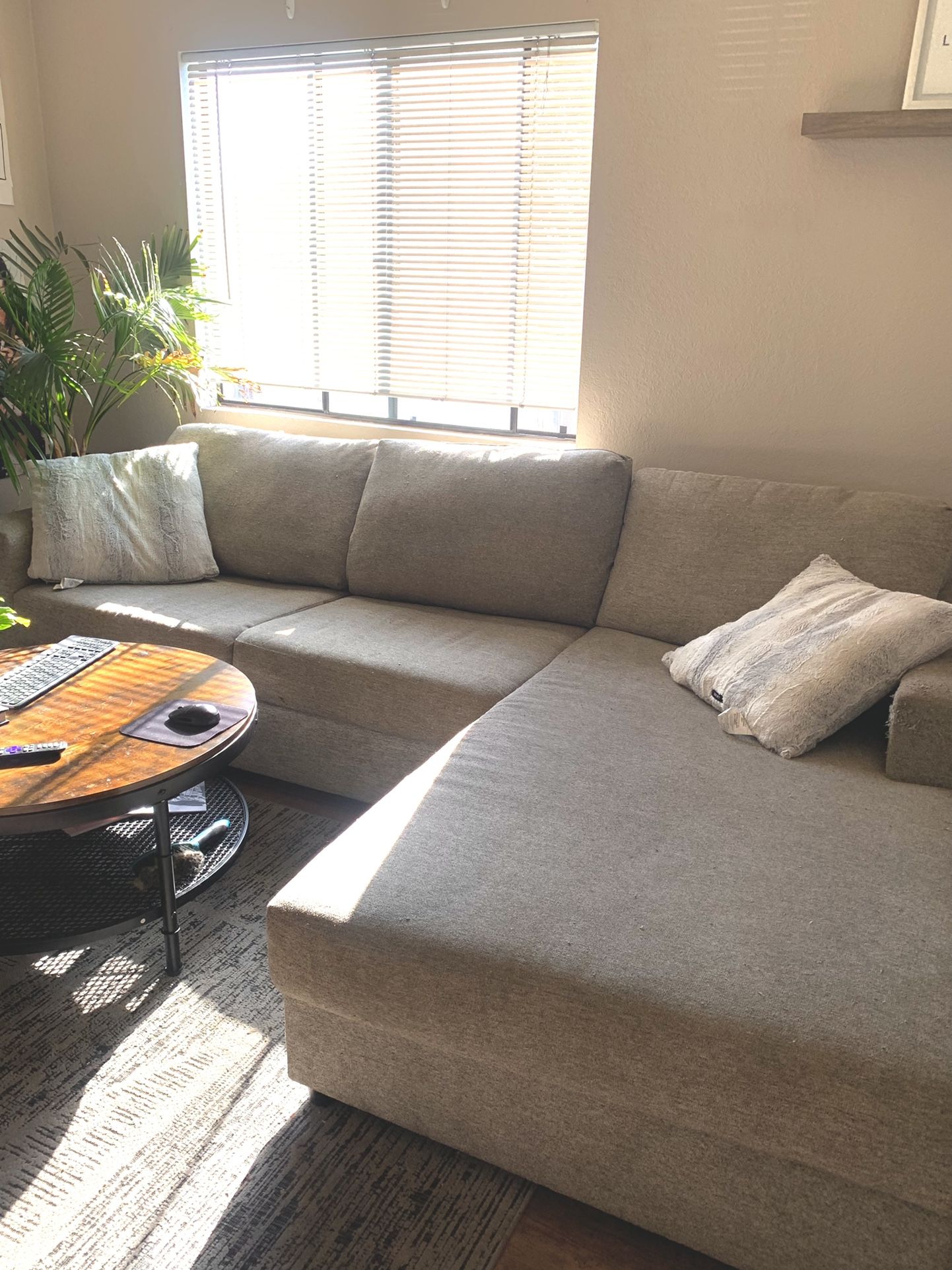 2 Piece Sectional Couch