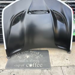 2015-2023 Dodge Charger Hellcat Hood 