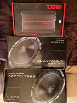 Apocalypse Neos  6.5 and DS18 voice amp