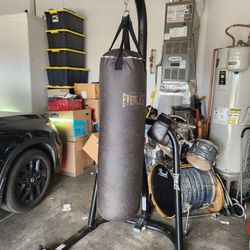 80lb Everlast Punching Bag With Stand And Gloves
