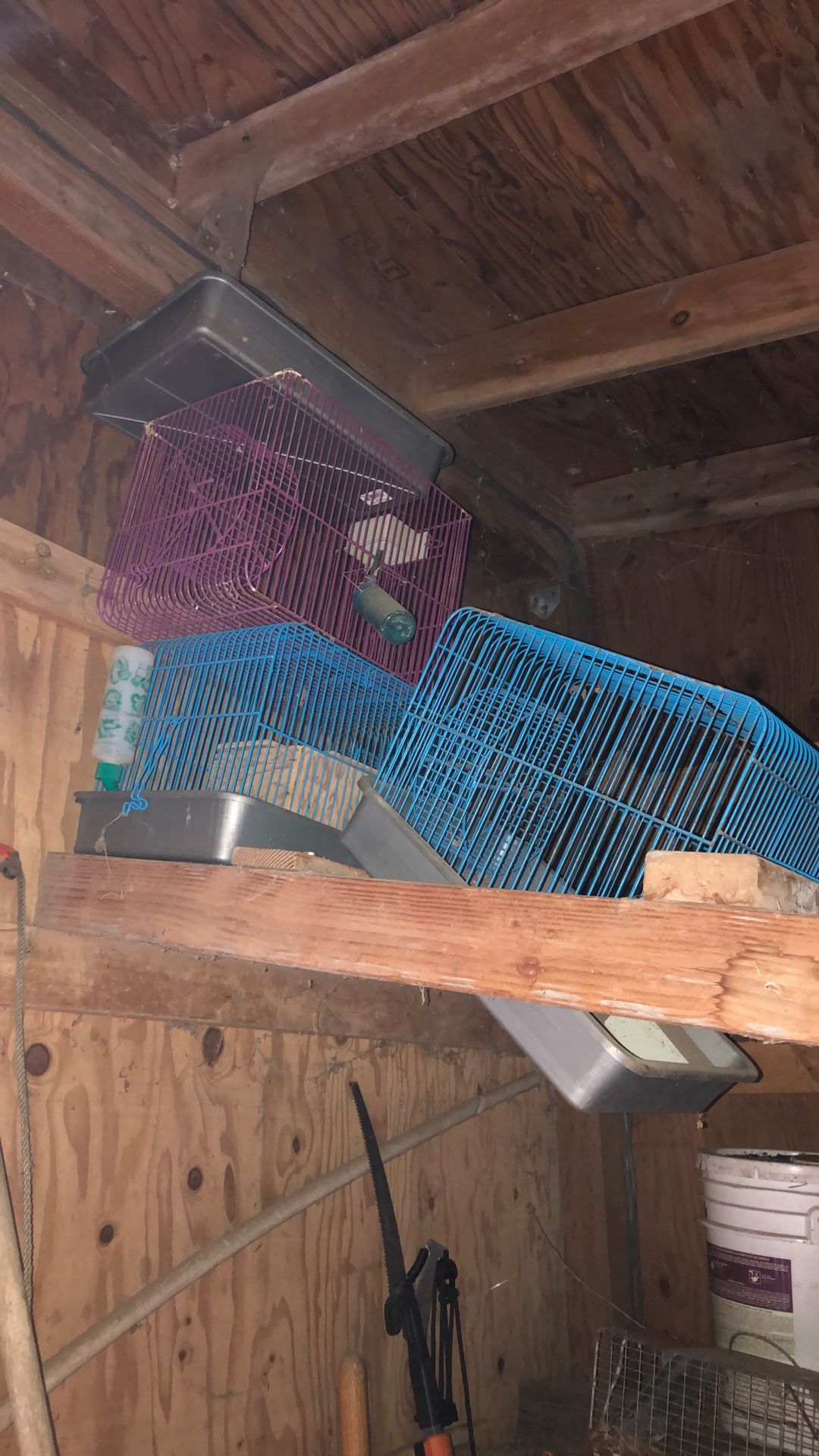 Hamster Cages And Supplies