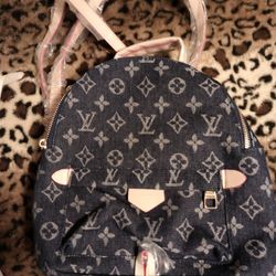 Backpack Purse