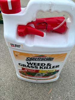 Spectracide Weed & Grass Killer – Ready-to-Use Sprayer