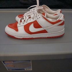 Nike Dunk Low CHAMPIONSHIP 