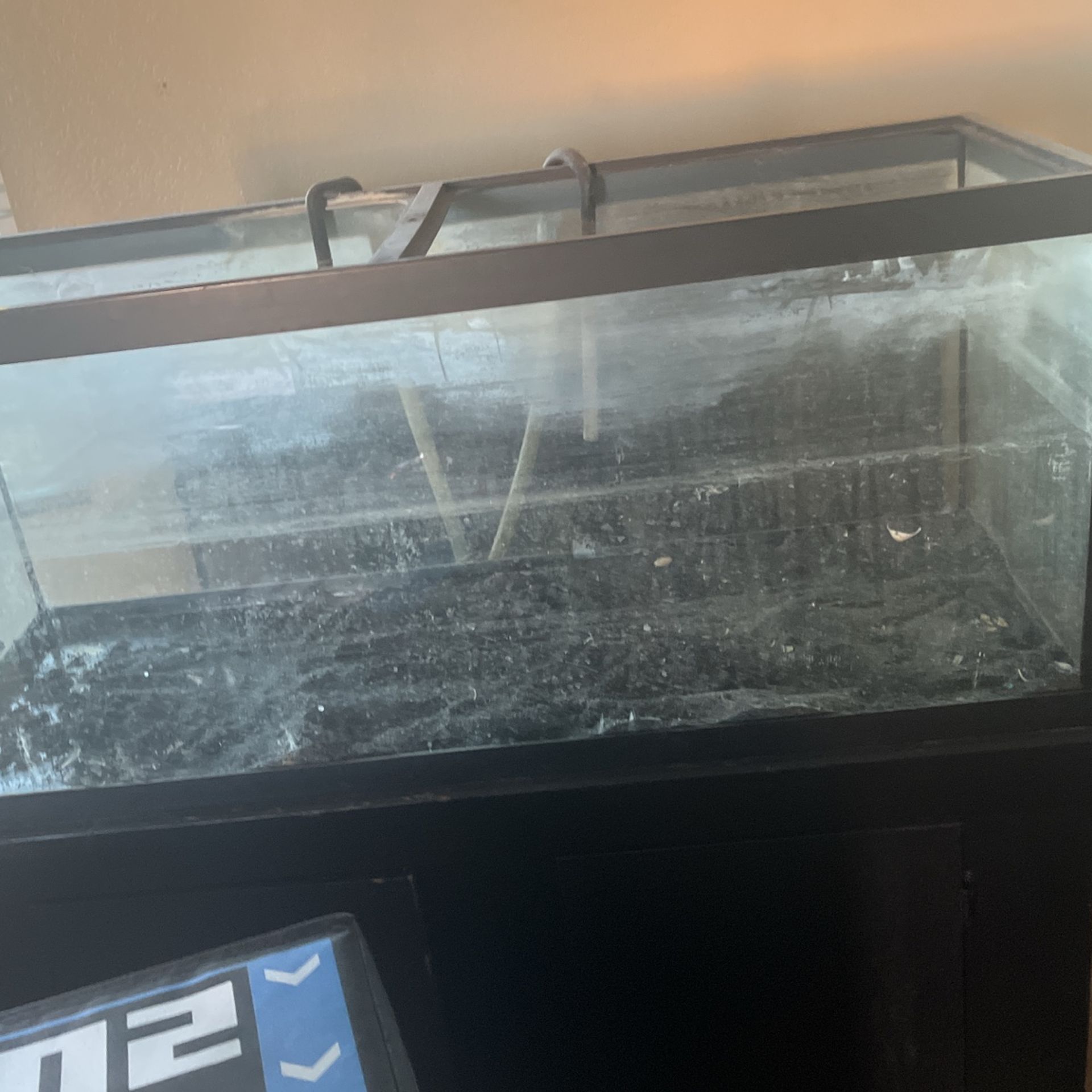 100 Gallon Fish Tank With Accessories