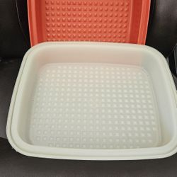 Vintage Real Tupperware Container 10x12 $20 Or Best Offer
