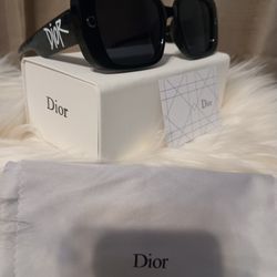 New Designer Sunglasses